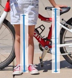 Balance bike - correct seat height